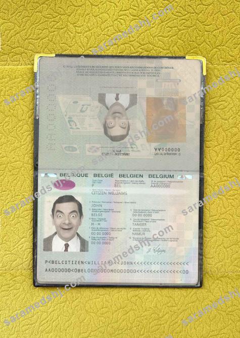 Belgium passport (2014-2017) photo look